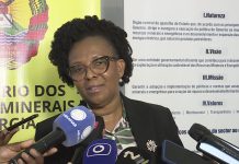 Mozambique Warns of Potential Fuel Price Increases Ahead Mozambique Warns of Potential Fuel Price Increases Ahead