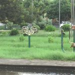 Quelimane Outdoor Gym Faces Neglect and Maintenance Issues Quelimane Outdoor Gym Faces Neglect and Maintenance Issues