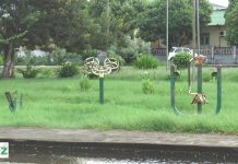 Quelimane Outdoor Gym Faces Neglect and Maintenance Issues Quelimane Outdoor Gym Faces Neglect and Maintenance Issues