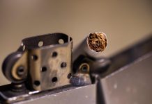 Mozambique Faces 11.7 Billion Meticais Losses from Tobacco Mozambique Faces 11.7 Billion Meticais Losses from Tobacco