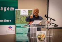 Mozambique hosts Wildlife Economy Conference Mozambique hosts Wildlife Economy Conference