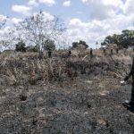 One killed in terrorist raid on Cabo Delgado village One killed in terrorist raid on Cabo Delgado village