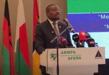 Mozambique Calls for Joint Funding for Southern Africa Roads Mozambique Calls for Joint Funding for Southern Africa Roads