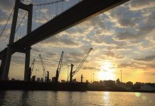 Citi Predicts Debt Defaults in Senegal, Mozambique, Malawi Citi Predicts Debt Defaults in Senegal, Mozambique, Malawi