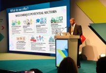 Mozambique strengthens economic cooperation with Germany Mozambique strengthens economic cooperation with Germany