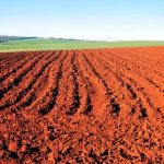Mozambique Prioritizes Scientific Soil Management for Future Mozambique Prioritizes Scientific Soil Management for Future