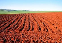 Mozambique Prioritizes Scientific Soil Management for Future Mozambique Prioritizes Scientific Soil Management for Future