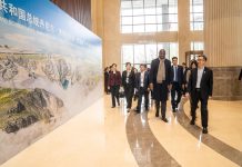 Mozambique’s President Chapo Seeks Chinese Energy Solutions Mozambique's President Chapo Seeks Chinese Energy Solutions