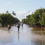 Flood-hit district needs thousands of tonnes of seeds Flood-hit district needs thousands of tonnes of seeds