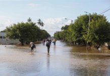 Flood-hit district needs thousands of tonnes of seeds Flood-hit district needs thousands of tonnes of seeds