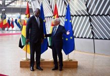 Policing Africa: The Price of Mozambique’s LNG Peace Policing Africa: The Price of Mozambique’s LNG Peace