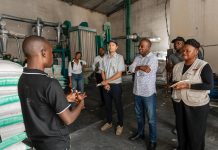 World Bank Reports Positive Impact of Conecta Negócios in C World Bank Reports Positive Impact of Conecta Negócios in C