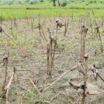 London Churches Support Mozambique After Severe Flooding London Churches Support Mozambique After Severe Flooding