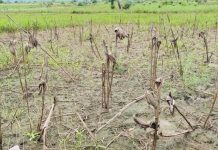 London Churches Support Mozambique After Severe Flooding London Churches Support Mozambique After Severe Flooding