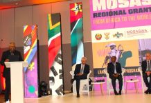 Global Fund Launches $24 Million Malaria Grant in Mozambique Global Fund Launches $24 Million Malaria Grant in Mozambique