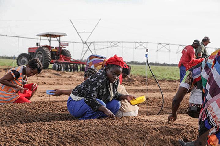 Small businesses can be the foundation of the economy…as trade ministry launches Know2Grow initiative Small businesses can be the foundation of the economy…as trade ministry launches Know2Grow initiative