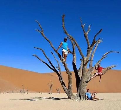 Ministry condemns barbaric behaviour in Deadvlei Ministry condemns barbaric behaviour in Deadvlei