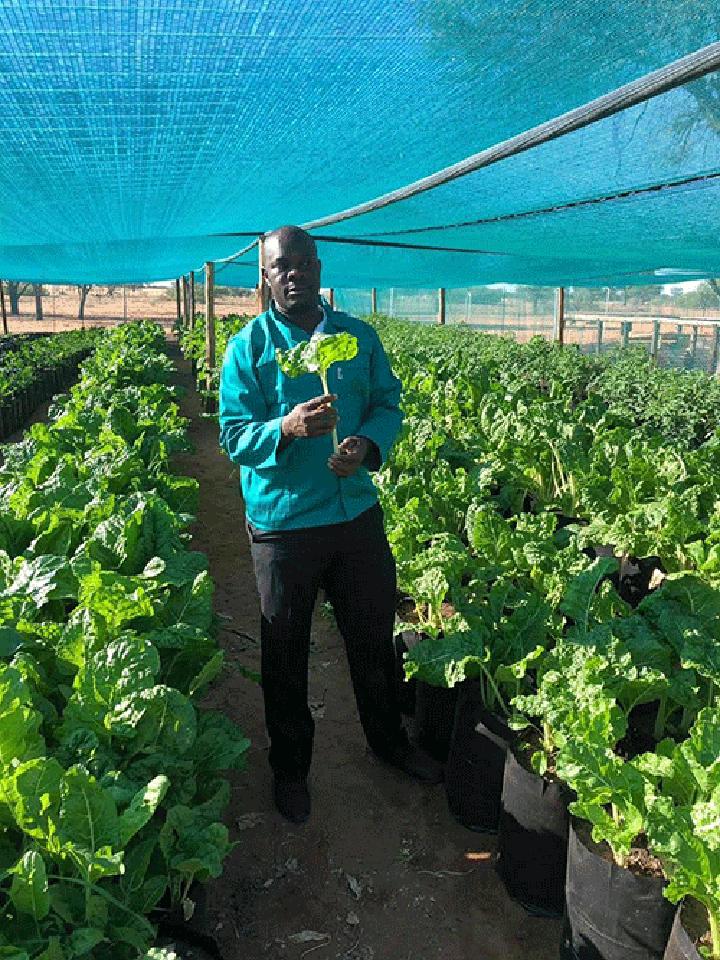 Nekongo’s potpourri of farming exploits …diversified farming rakes in