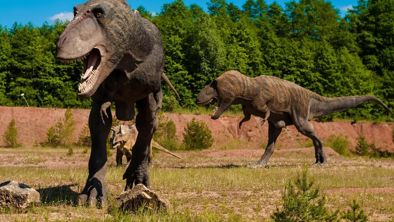 New Study Seemingly Ends Scientific Debate on Long-Standing Dinosaur Mystery New Study Seemingly Ends Scientific Debate on Long-Standing Dinosaur Mystery