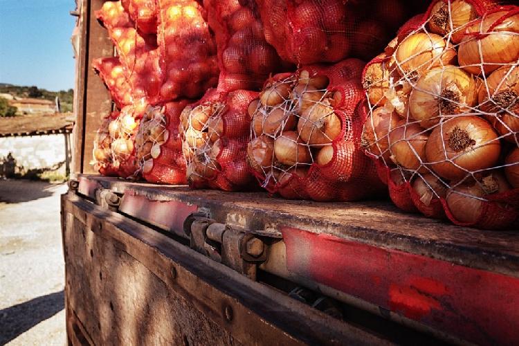 NAB tightens ban on horticultural imports NAB tightens ban on horticultural imports