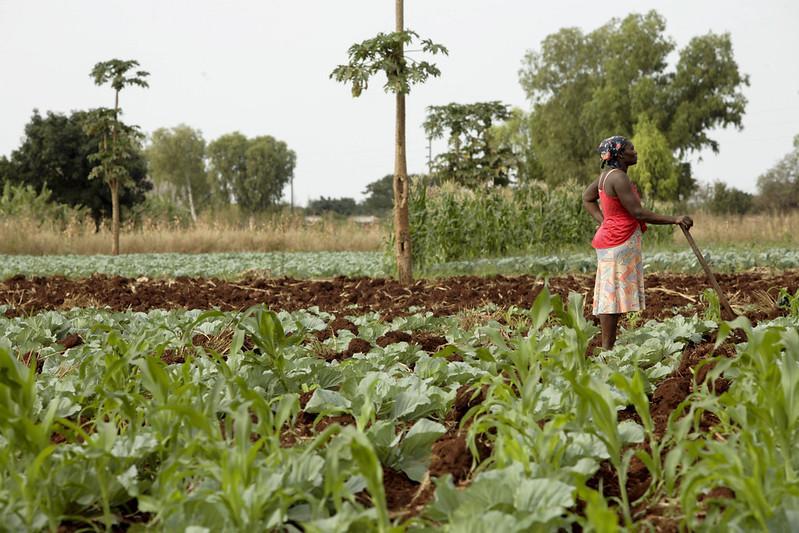 Namfisa agri-index gaining traction as World Bank visits Namfisa agri-index gaining traction as World Bank visits