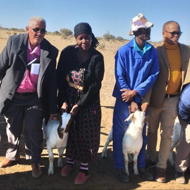 Relief for Farm Geluk residents after lightning kills 29 goats Relief for Farm Geluk residents after lightning kills 29 goats