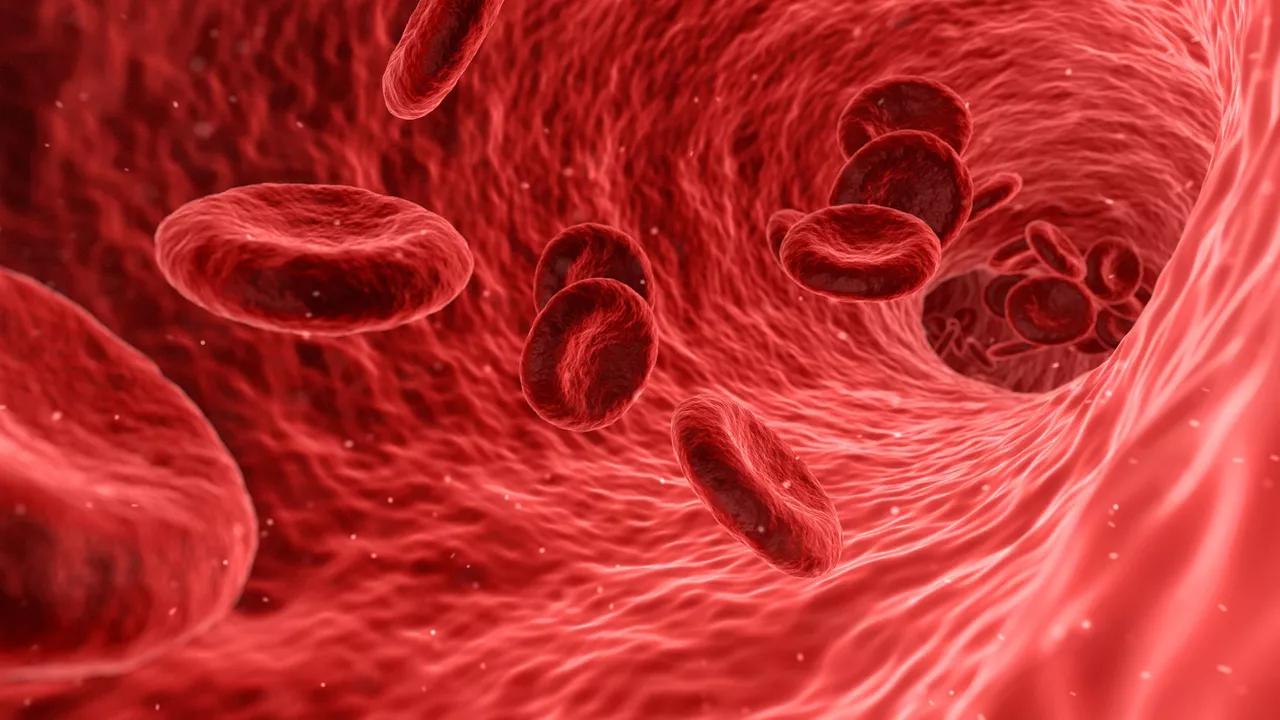 Blood Clots in COVID-19 Patients Affected by Innate Immune System, Study Finds Blood Clots in COVID-19 Patients Affected by Innate Immune System, Study Finds