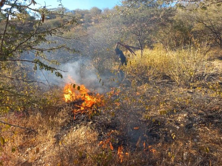 Firefighters battle Windhoek fire Namibia