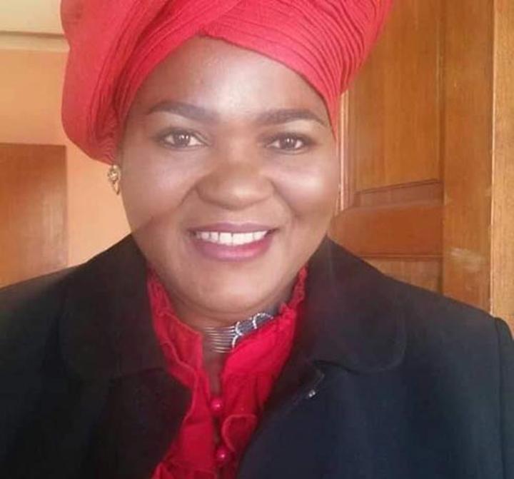 Namibia should lead clean energy revolution Namibia should lead clean energy revolution