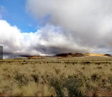 Snow predicted for South, farmers to take caution Snow predicted for South, farmers to take caution