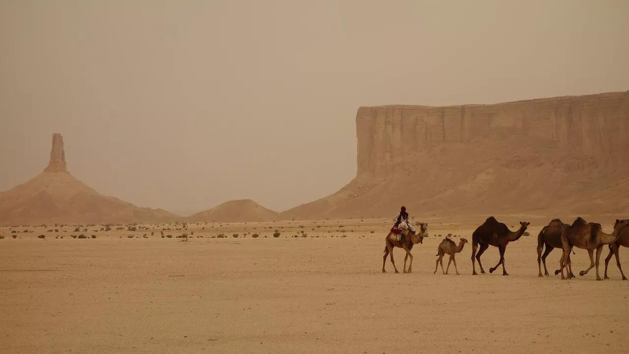 Scientists Create Irrigation System to Produce Water in Desert and Grow Crops Scientists Create Irrigation System to Produce Water in Desert and Grow Crops