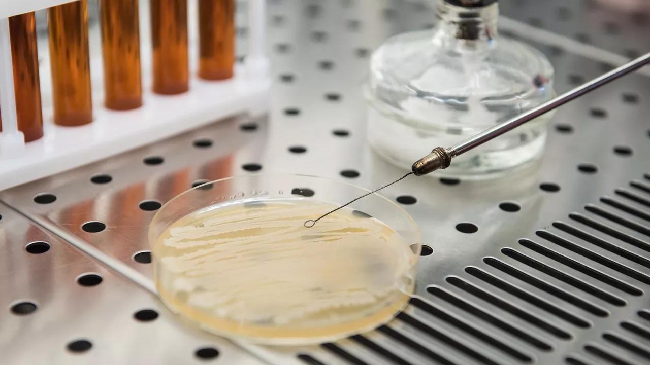 Russian Scientists Figure Out How to Fight Salmonella With Probiotics Russian Scientists Figure Out How to Fight Salmonella With Probiotics