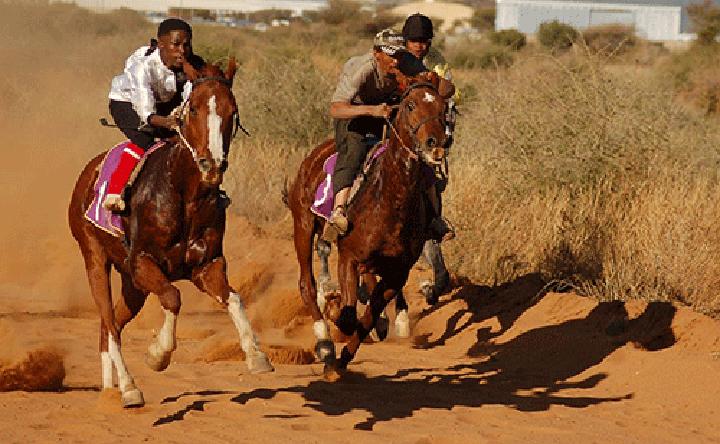 Okahandja Expo Derby this weekend… top horses to race Okahandja Expo Derby this weekend… top horses to race
