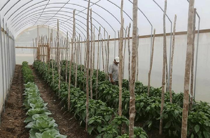 High prices hinder food security High prices hinder food security