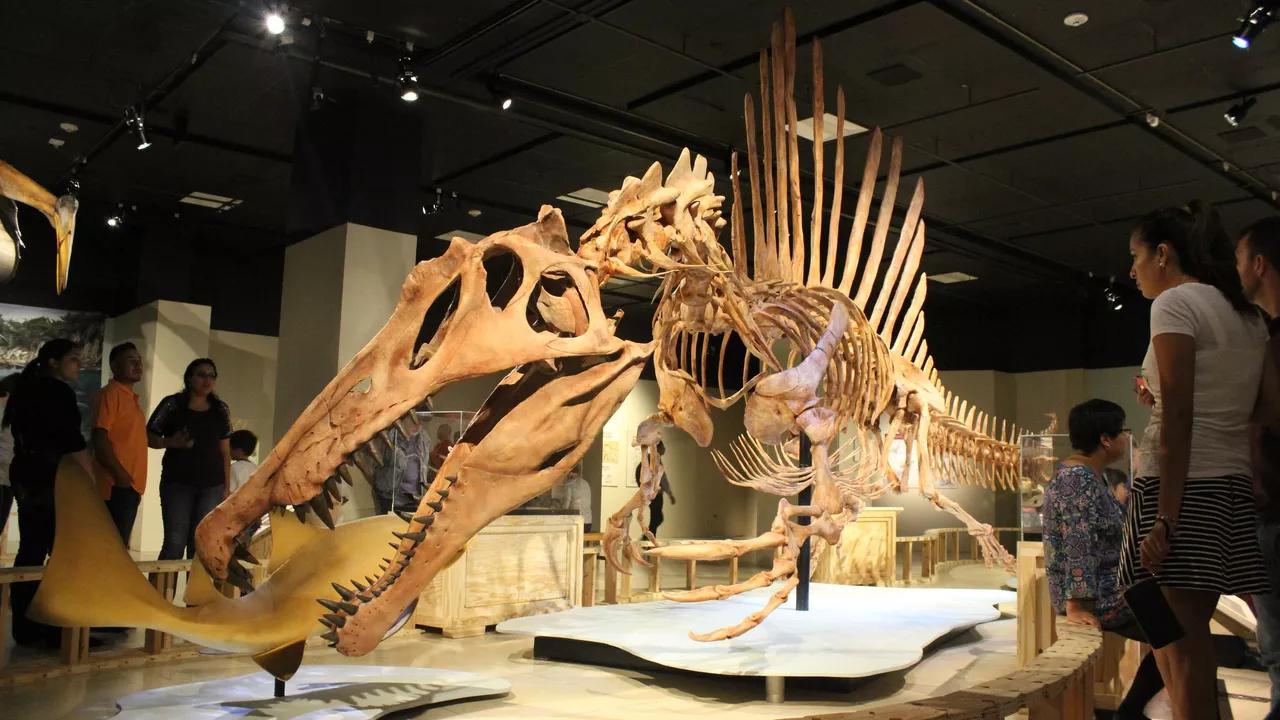 Largest Land Predator? Scientists Unearth London Bus-Sized Dinosaur Largest Land Predator? Scientists Unearth London Bus-Sized Dinosaur