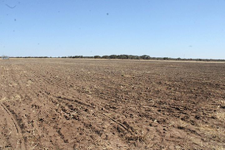 Govt farm gets cash injection… N$2.3m pledged to boost productivity Govt farm gets cash injection… N$2.3m pledged to boost productivity