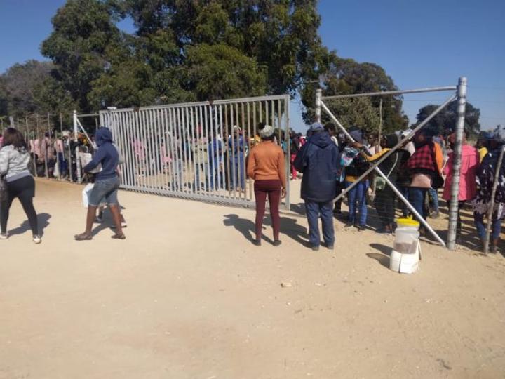 Mashare blue berries farm creates 1 000 jobs Mashare blue berries farm creates 1 000 jobs