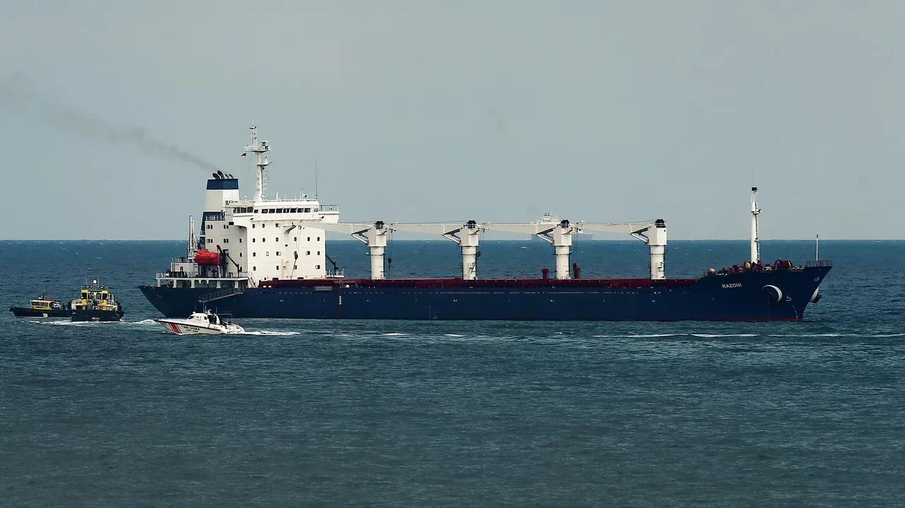 Only 1 Out of 34 Ships Exporting Grain From Ukraine Went to Africa - Russian Envoy to UN Only 1 Out of 34 Ships Exporting Grain From Ukraine Went to Africa - Russian Envoy to UN