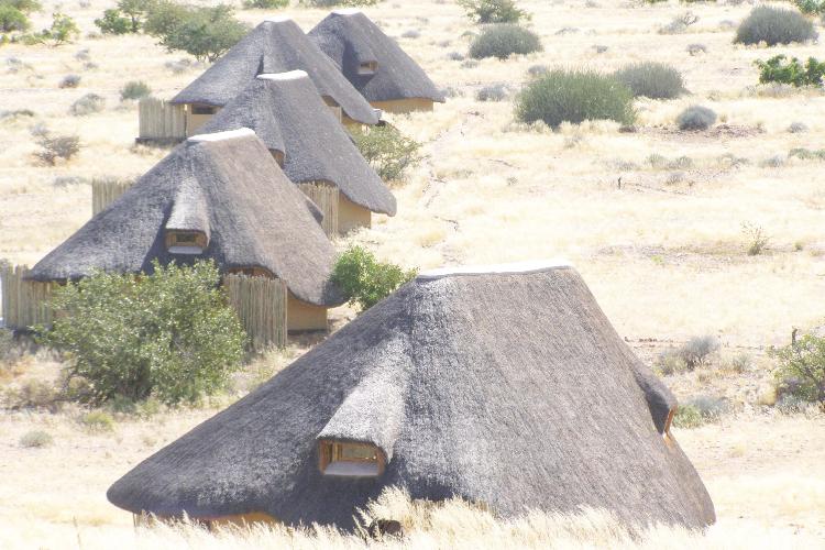 Covid relief facility for conservancies generates N$222m Covid relief facility for conservancies generates N$222m