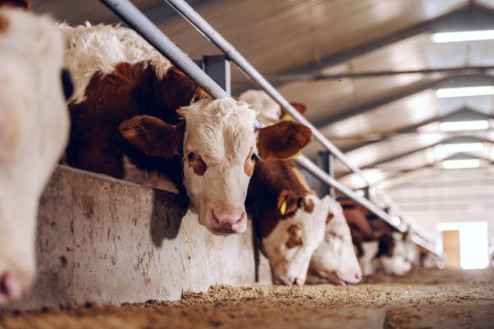 Bleak third quarter for agri-sector Bleak third quarter for agri-sector