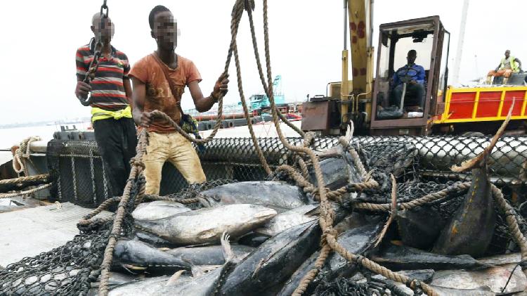 60 locals, foreigners 'trafficked' to Namibian waters 60 locals, foreigners 'trafficked' to Namibian waters