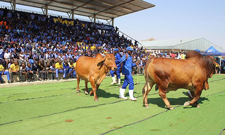 Okakarara Annual Trade Fair back and bigger Okakarara Annual Trade Fair back and bigger