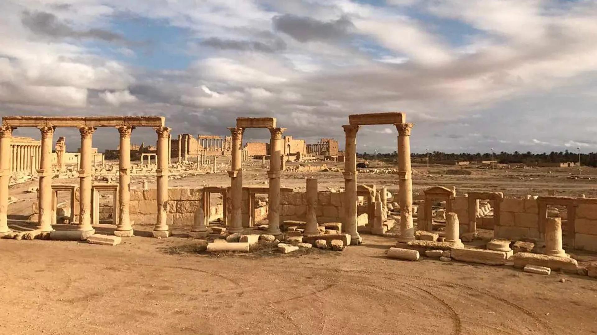 Ancient Palmyra Could Have Fallen Because of Hunger, New Study Shows Ancient Palmyra Could Have Fallen Because of Hunger, New Study Shows