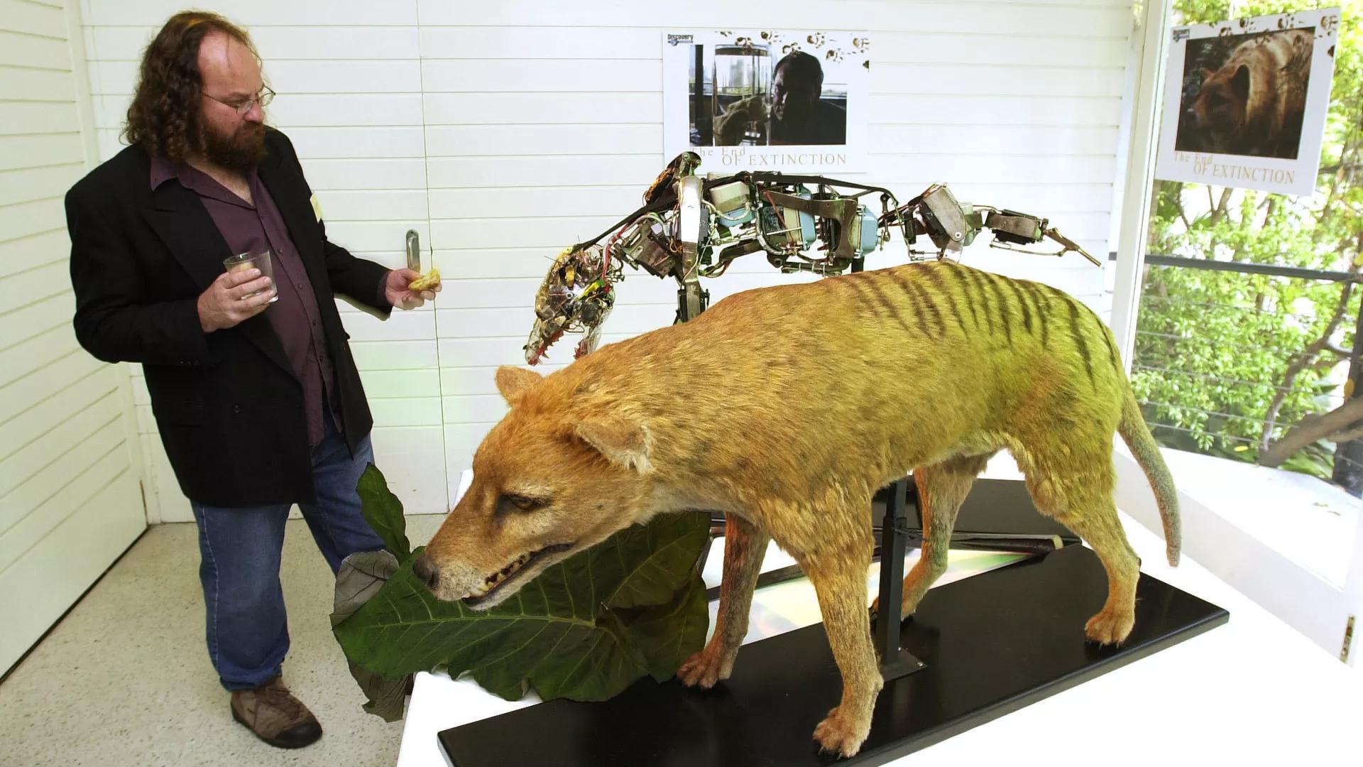 Biotech Company Hires Influencers to Promote Their Tasmanian Tiger De-Extinction Project Biotech Company Hires Influencers to Promote Their Tasmanian Tiger De-Extinction Project