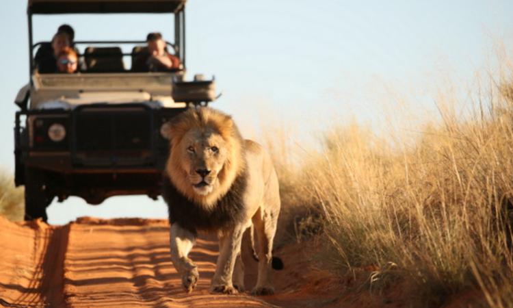 Namibia continues to attract tourists Namibia continues to attract tourists