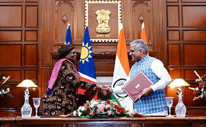 Cheetahs fly to India today Cheetahs fly to India today