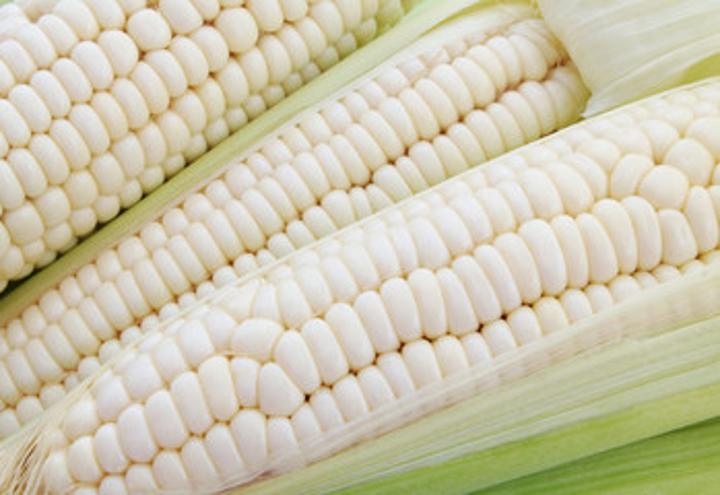 Grain producers happy with good prices Grain producers happy with good prices