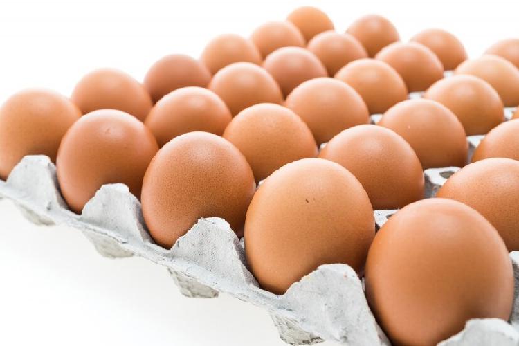 Cheap egg imports threaten poultry industry Namibia