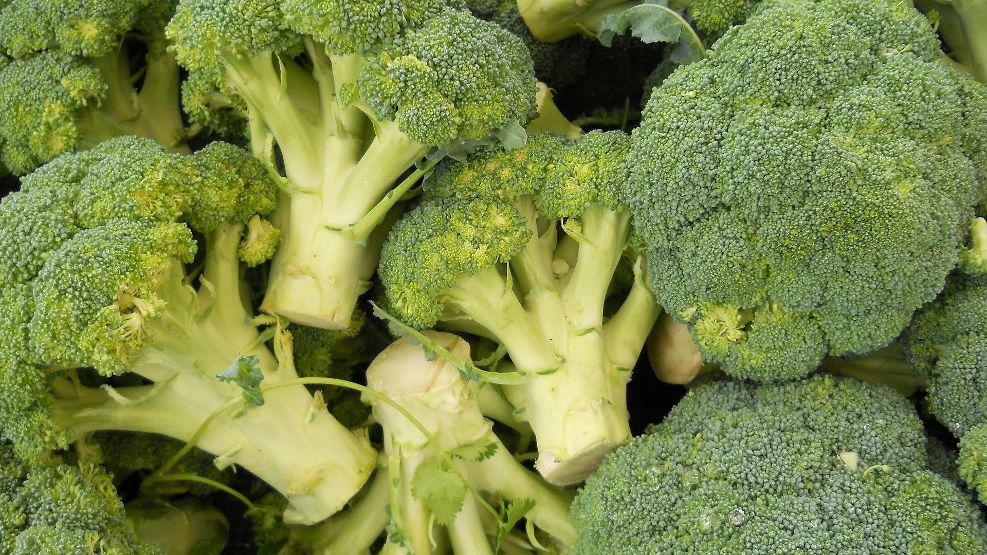 'Broccoli Gas' Could Help Search for Life on Distant Worlds, Scientists Say 'Broccoli Gas' Could Help Search for Life on Distant Worlds, Scientists Say