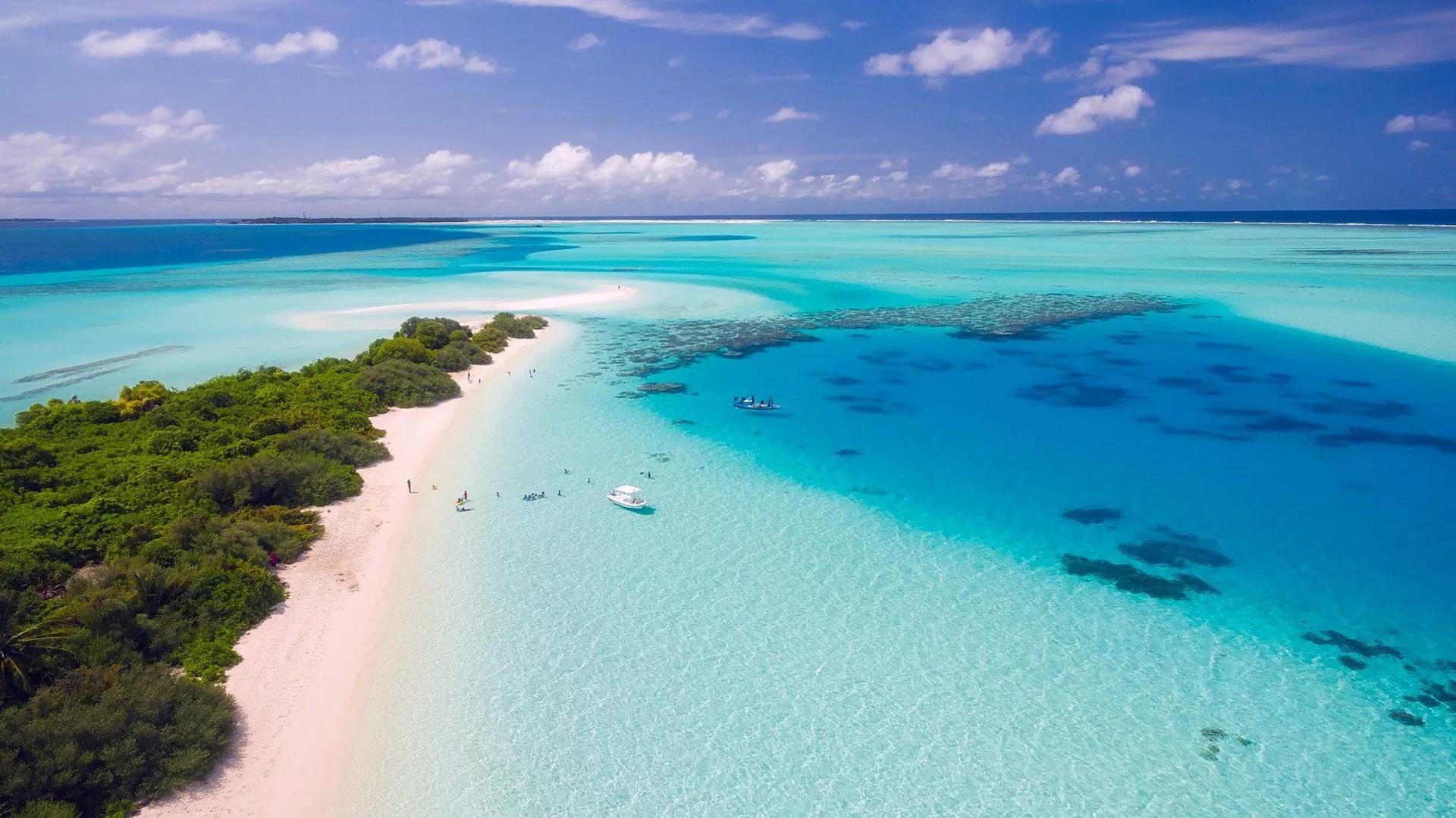 Unique Thriving Ecosystem Found Hidden in Ocean Depths in Maldives Unique Thriving Ecosystem Found Hidden in Ocean Depths in Maldives
